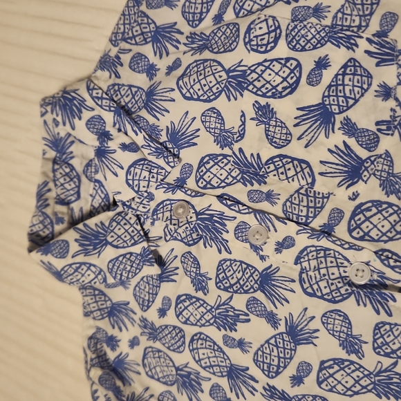 Toddler Boys Pineapples Button down Shirt 4T - Picture 2 of 4